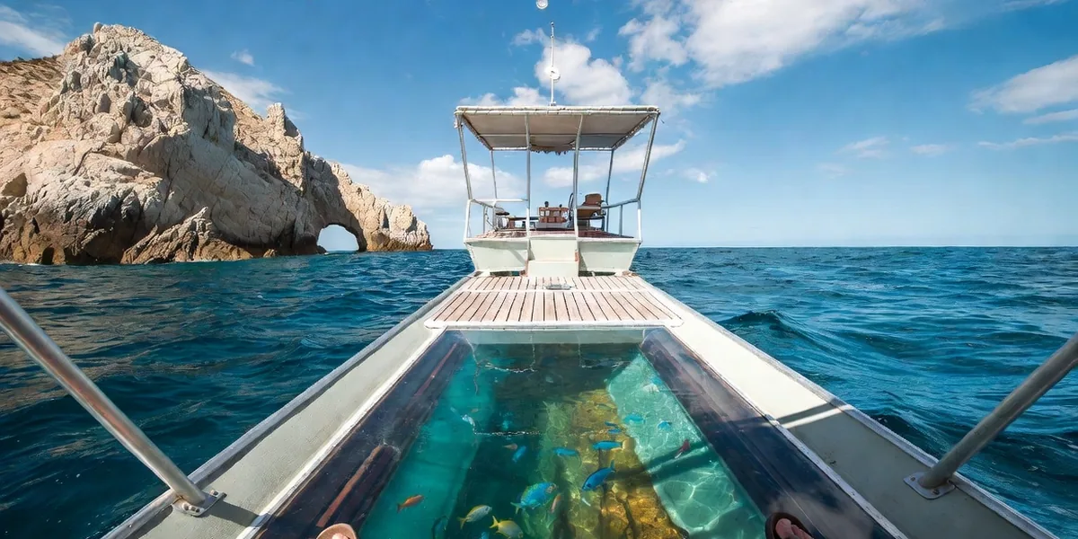 Tropical fish and rocks seen through the glass panel of a Cabo glass-bottom boat