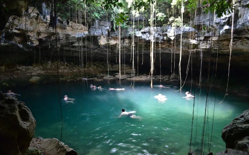 Swimmers in the open cenote Ik Kil with hanging vines near Chichén Itzá