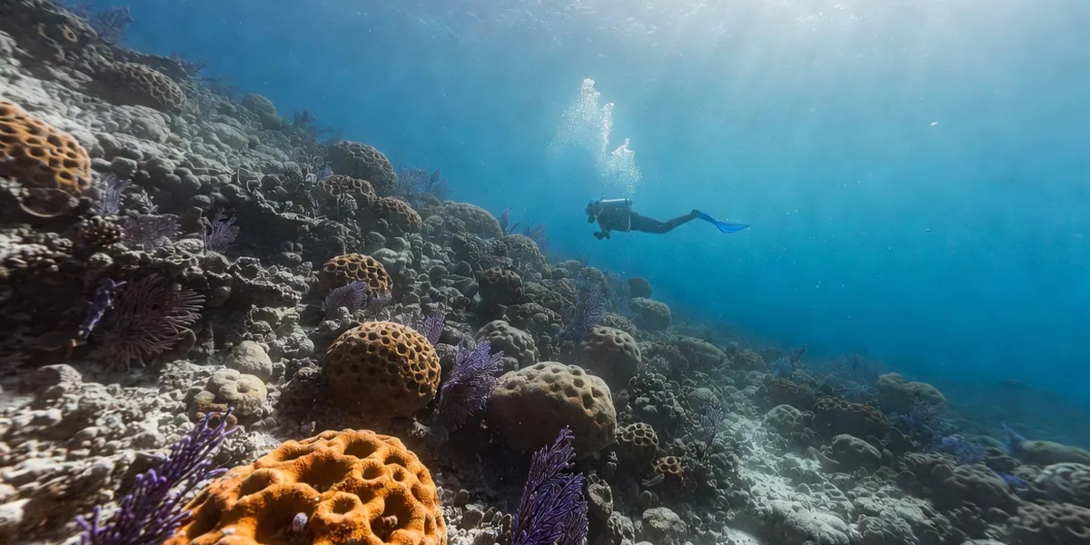 Diving & Snorkeling in Cozumel