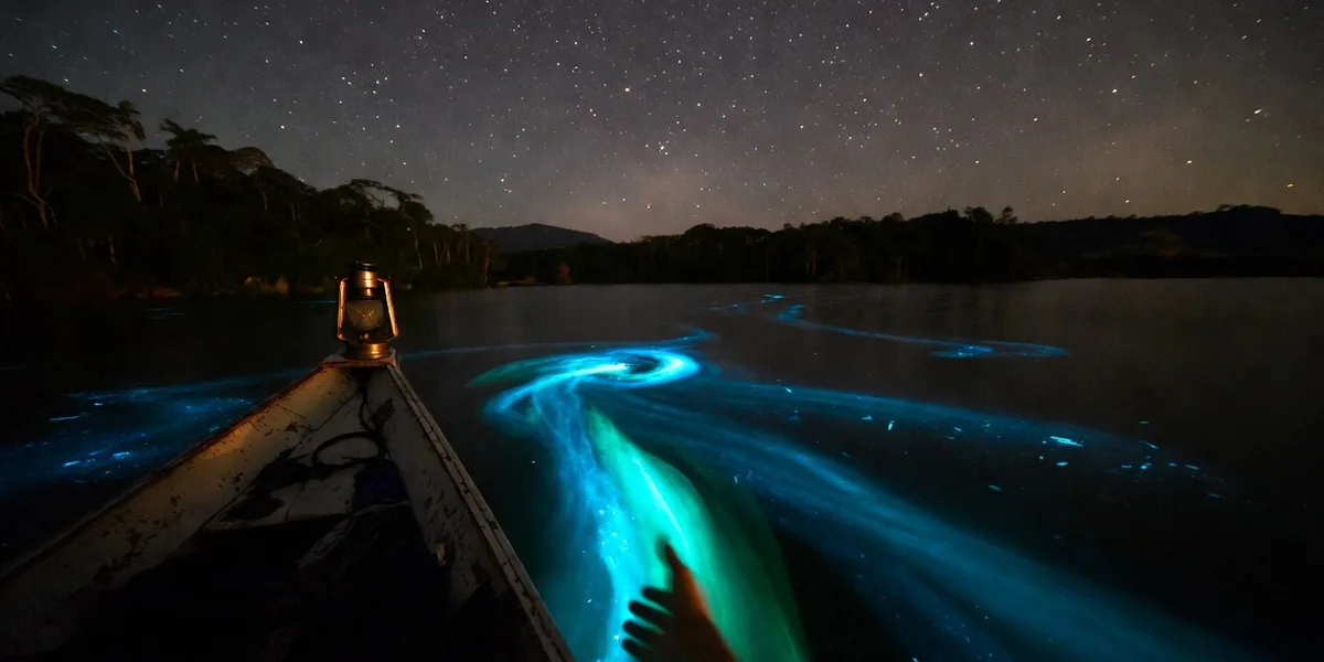 Manialtepec Bioluminescence: The Complete Guide