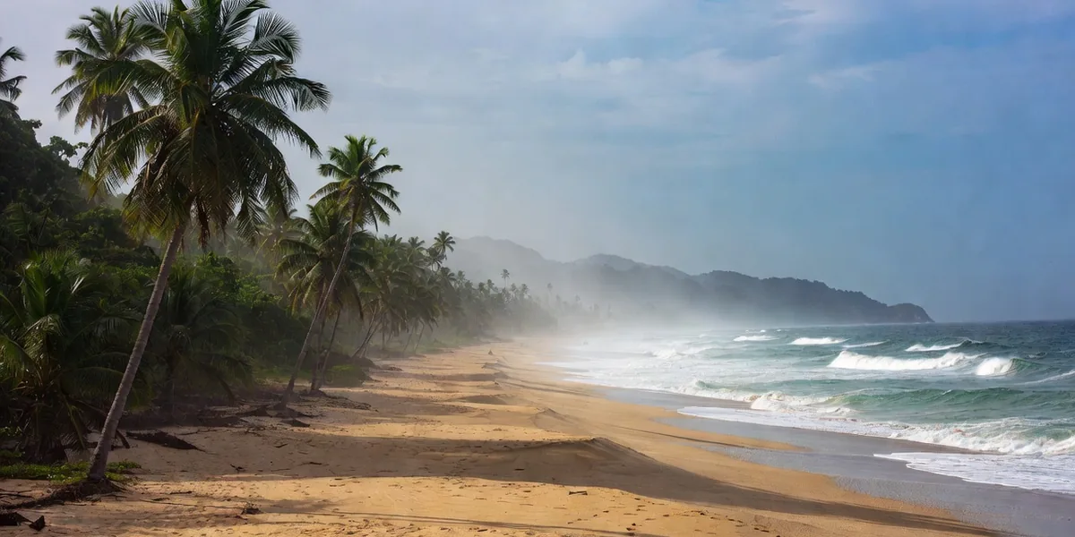 Long empty Pacific beach with palms and big surf on the Nayarit coast