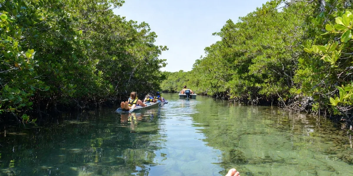 Visitors in life vests floating down a clear mangrove channel in the Sian Ka'an biosphere reserve