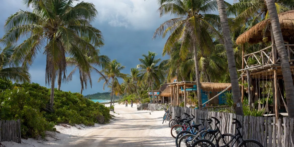 Bikes and palm trees along the Tulum beach road in the boutique hotel zone